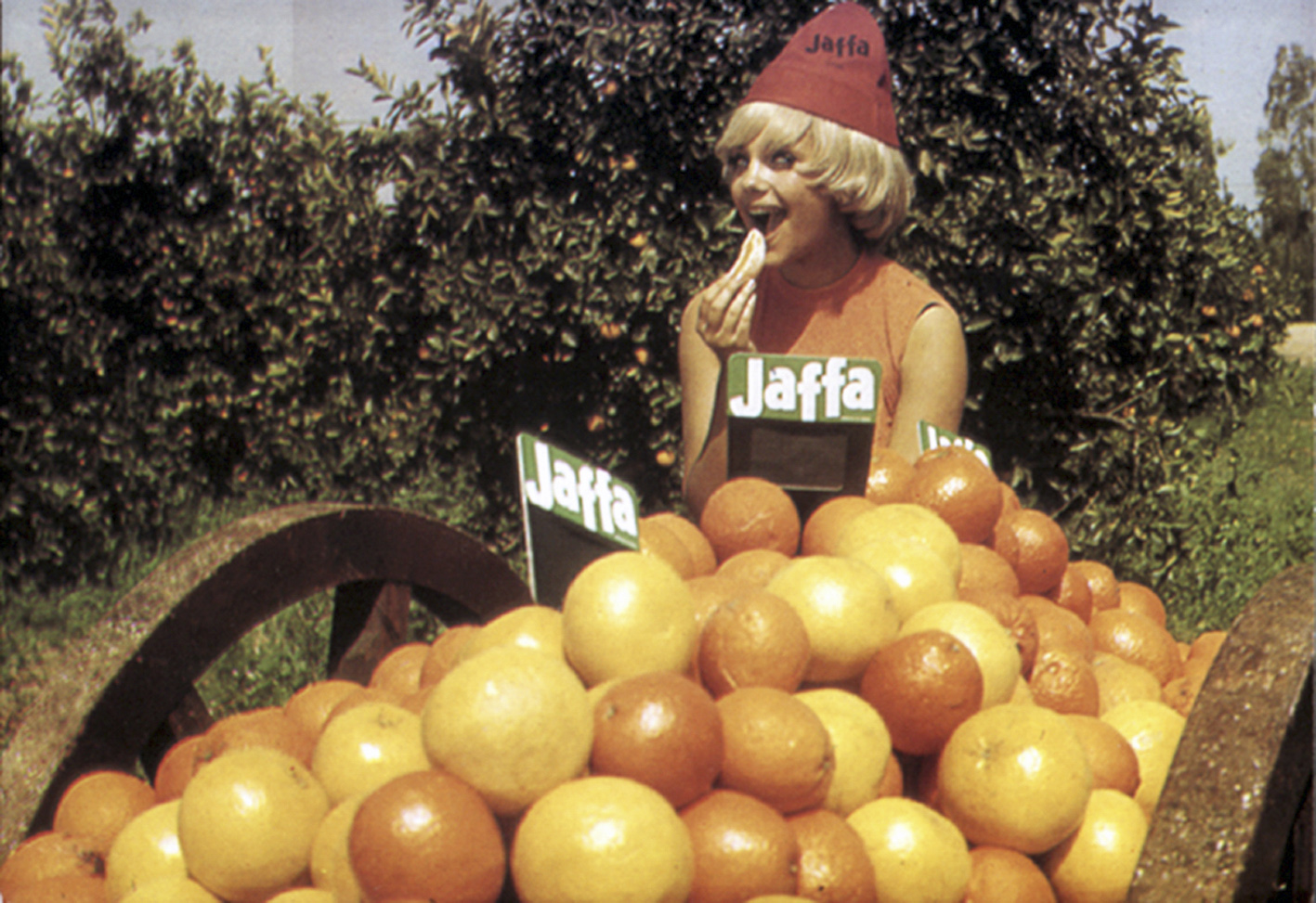 Jaffa, the Orange s Clockwork