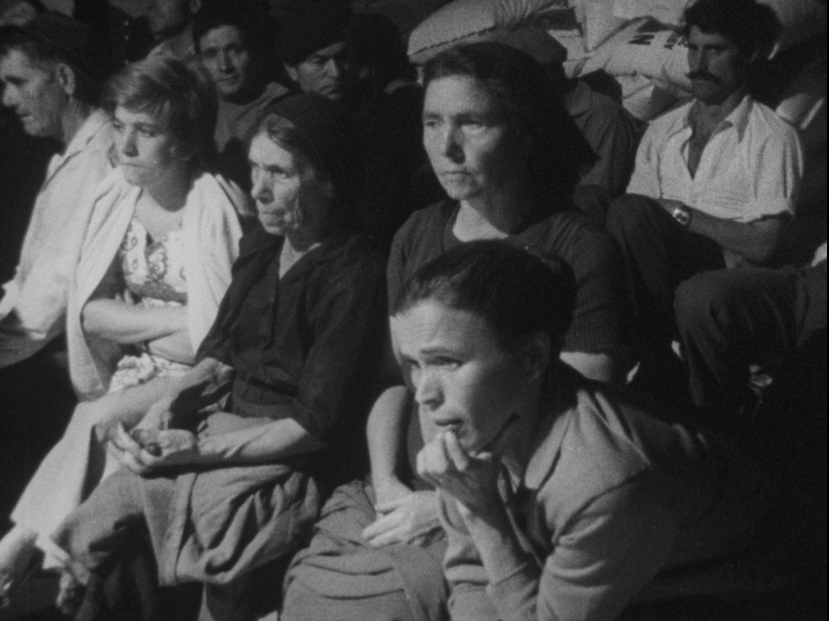 Assim Começa Uma Cooperativa