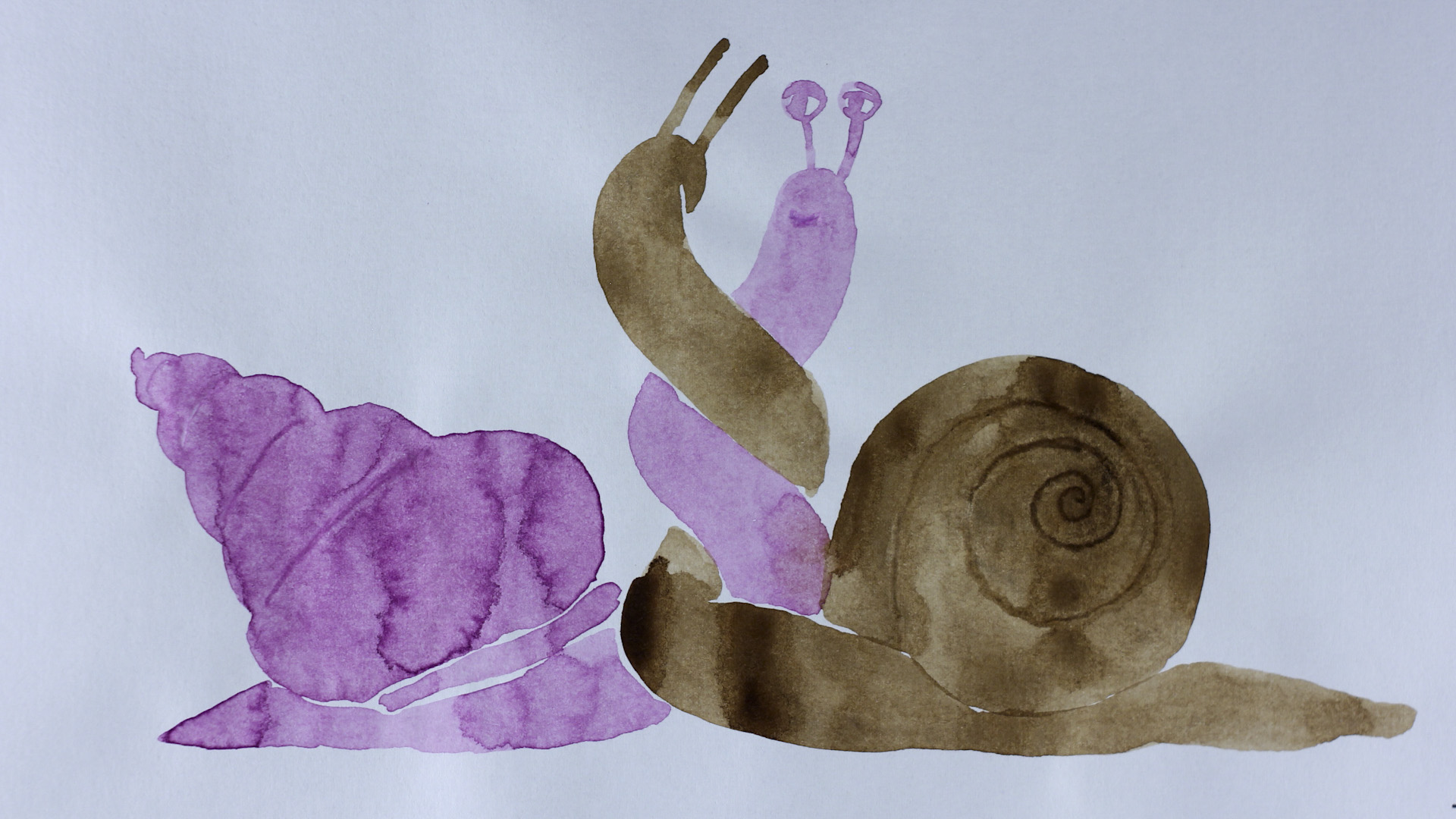 Like the Snail